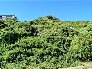 572 m² Land available in Glentana