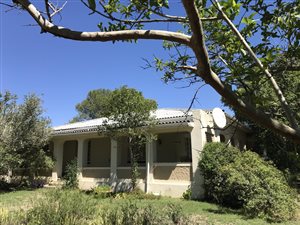 4 Bed House in Bedford