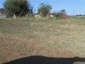 1008 m² Land available in Riversdale