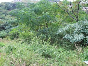 1347 m² Land available in Doon Heights