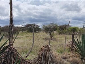 3 ha Farm in Ivydale