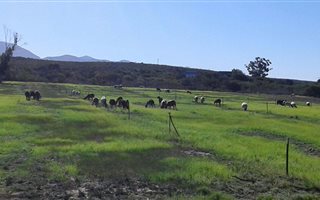30 ha Farm in Steytlerville