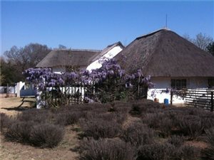2 Bed House in Glen Austin