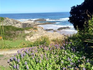 400 m² Land available in Mthata