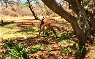 587 m² Land available in Seasons Lifestyle Estate