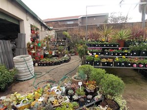 294 m² Commercial space in Bluff