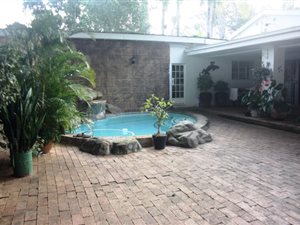 11 ha Farm in Barberton