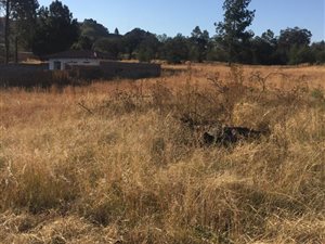 880 m² Land available in Ohenimuri