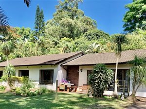 4 Bed House in Kloof