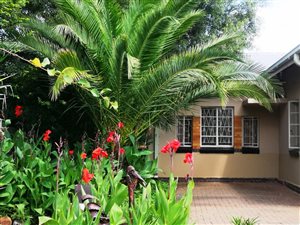 3 Bed House in Noordhoek