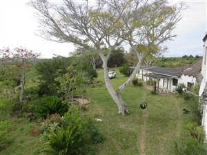 70 ha Farm in Kleinemonde