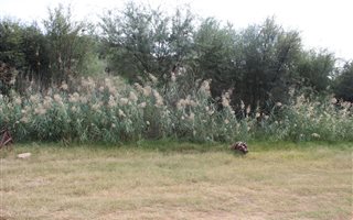 1147 m² Land available in Keidebees