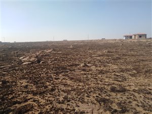 1970 m² Land available in Kaydale