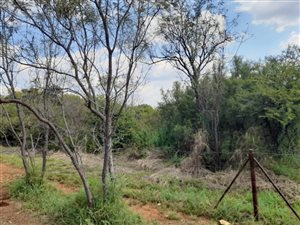 4.5 ha Land available in Wildebeeshoek AH