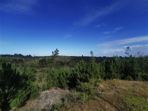 2 ha Farm in George Central