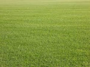 2 ha Land available in Kya Sands