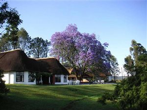 229 ha Farm in Mooi River