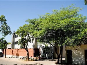 2 Bed Apartment in Menlo Park
