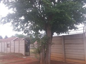 1517 m² Land available in Daggafontein