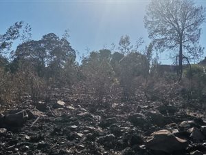 1241 m² Land available in Ohenimuri
