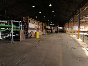 4500 m² Industrial space in Vulcania