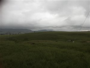 224 ha Farm in Pietermaritzburg Central