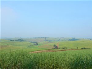 117 ha Farm in Compensation Beach