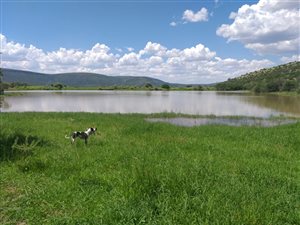 853 ha Farm in Graaff Reinet