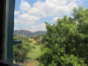 57 ha Farm in Walkerville
