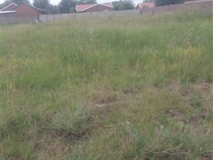 1000 m² Land available in Struisbult