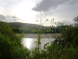 83.4 ha Land available in Port St Johns