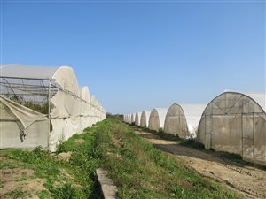 7.4 ha Farm in Kwelera