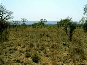 1 ha Land available in Zebula Golf Estate