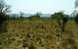 1 ha Land available in Zebula Golf Estate