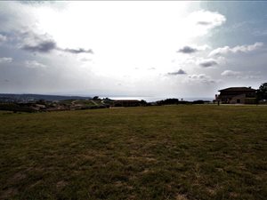 1013 m² Land available in Whale Rock Heights