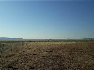 282 ha Farm in Dewetsdorp