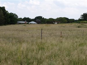 2.1 ha Land available in Knopjeslaagte