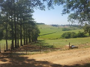 4 ha Farm in Empangeni Central