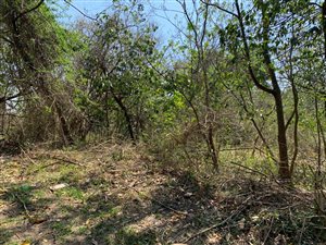 9.8 ha Land available in Doon Heights