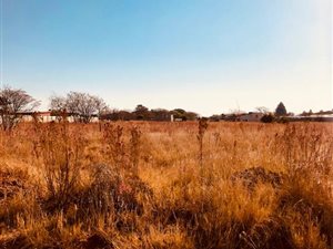 5.6 ha Land available in Knopjeslaagte