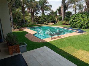 25 ha Farm in Benoni CBD