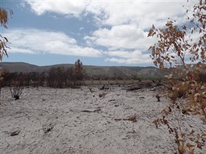 790 m² Land available in Franskraal