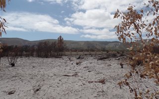 790 m² Land available in Franskraal