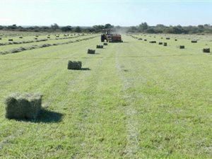 Game Farm in Swartwater and surrounds