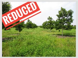 269 ha Farm in Lichtenburg