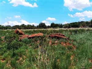 1 ha Farm in Blue Saddle Ranches