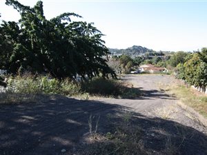 3023 m² Land available in Westmead