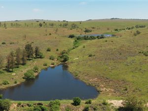 21.4 ha Farm in Rietfontein