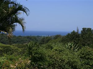 4.5 ha Land available in Anerley