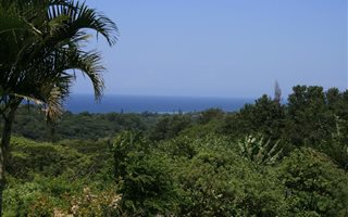 4.5 ha Land available in Anerley